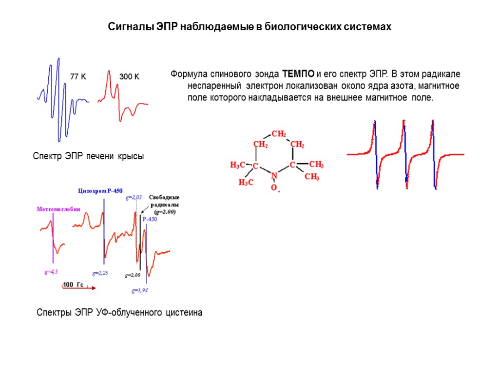 Сигналы ЭПР наблюдаемые в биологических системах Спектр ЭПР печени крысы Спектры ЭПР УФ-облученного цистеина